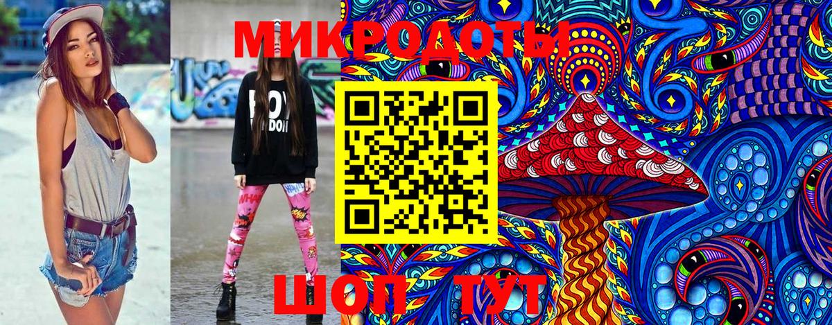 Псилоцибиновые грибы мицелий Новомосковск