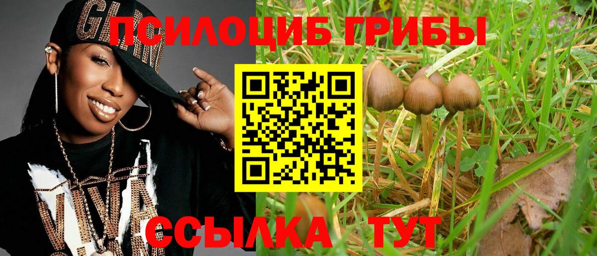 Псилоцибиновые грибы Psilocybine cubensis  Вход с VPN  Псилоцибиновые грибы мицелий  Новомосковск 